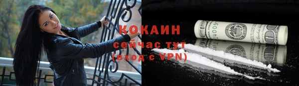 мяу мяу мука Аркадак