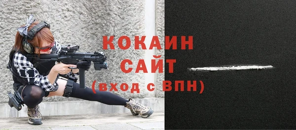 мяу мяу мука Аркадак